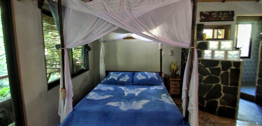 7 Bedroom Jungle Property for Sale Dominical