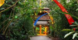 7 Bedroom Jungle Property for Sale Dominical
