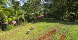 Ocean View Lot Guest House for Sale Dominical