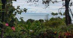 Ocean View Home For Sale Dominicalito