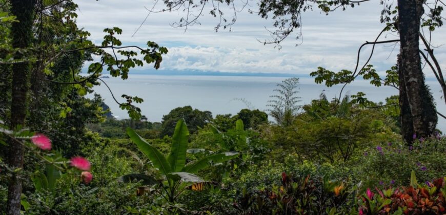 Ocean View Home For Sale Dominicalito