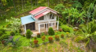 Ocean View Farm For Sale Balsar