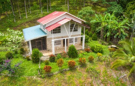 Ocean View Farm For Sale Balsar