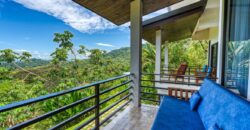 Paradise Property for Sale in Dominicalito