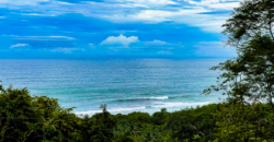 1.4 Acre Ocean View Property In Dominical