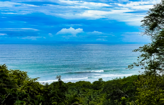 1.4 Acre Ocean View Property In Dominical