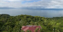 Ocean View Tropical Property in Escaleras