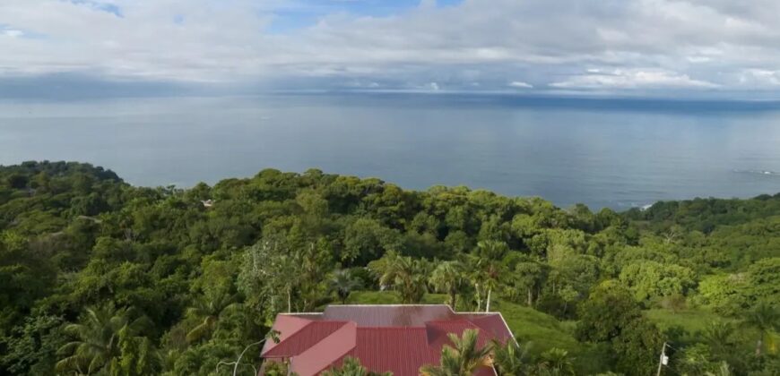 Ocean View Tropical Property in Escaleras