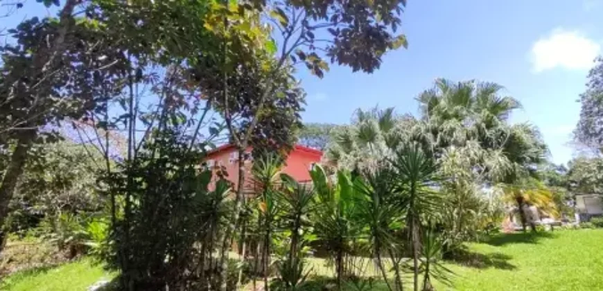 Two Story Jungle House in Ojochal