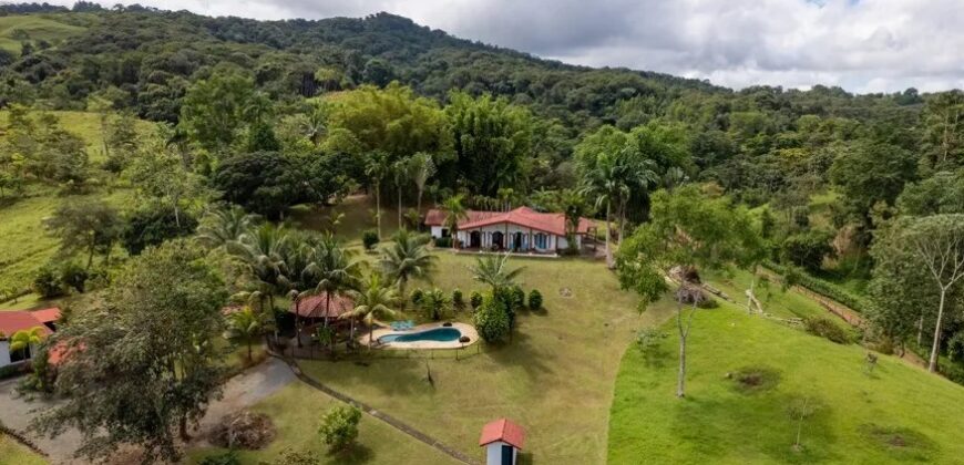 Dominical Estate & Rental Property For Sale