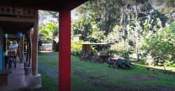 Brisas del Caribe