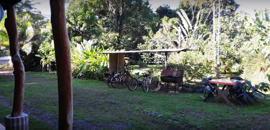 Brisas del Caribe