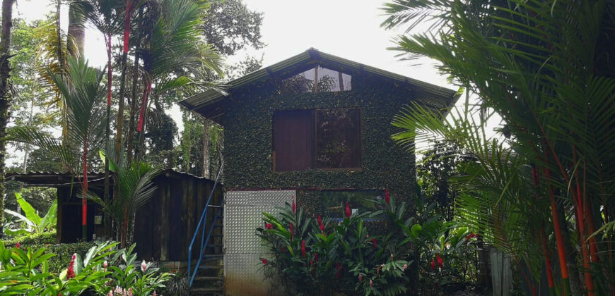 La Tigra, La Fortuna Finca