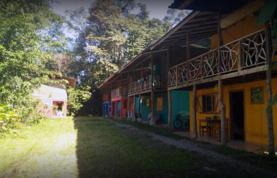 Brisas del Caribe