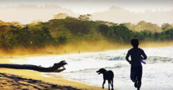 Brisas del Caribe