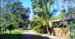 Brisas del Caribe