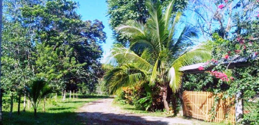 Brisas del Caribe on the Caribbean Coast