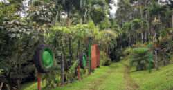 La Tigra, La Fortuna Finca