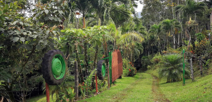 La Tigra, La Fortuna Finca