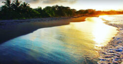 Brisas del Caribe