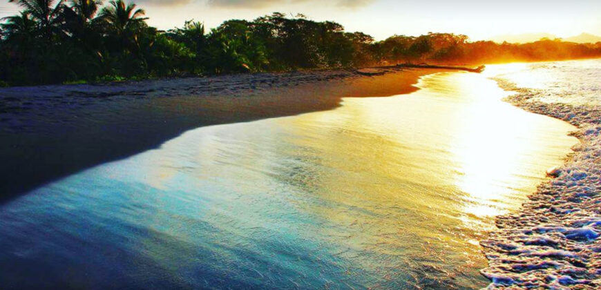 Brisas del Caribe