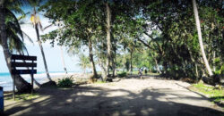 Brisas del Caribe
