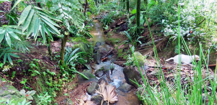 La Tigra, La Fortuna Finca