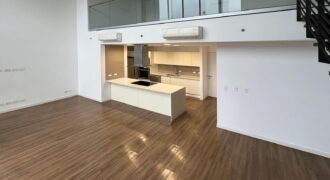 Pent House Apartment in Escazu