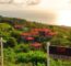 Home selling expenses in Costa Rica